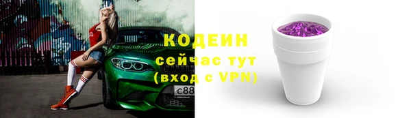 прущая мука Вяземский