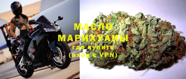 прущая мука Вяземский